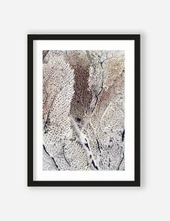 Art Print Curly soft coral - zelf samenstellen - Loft24.nl