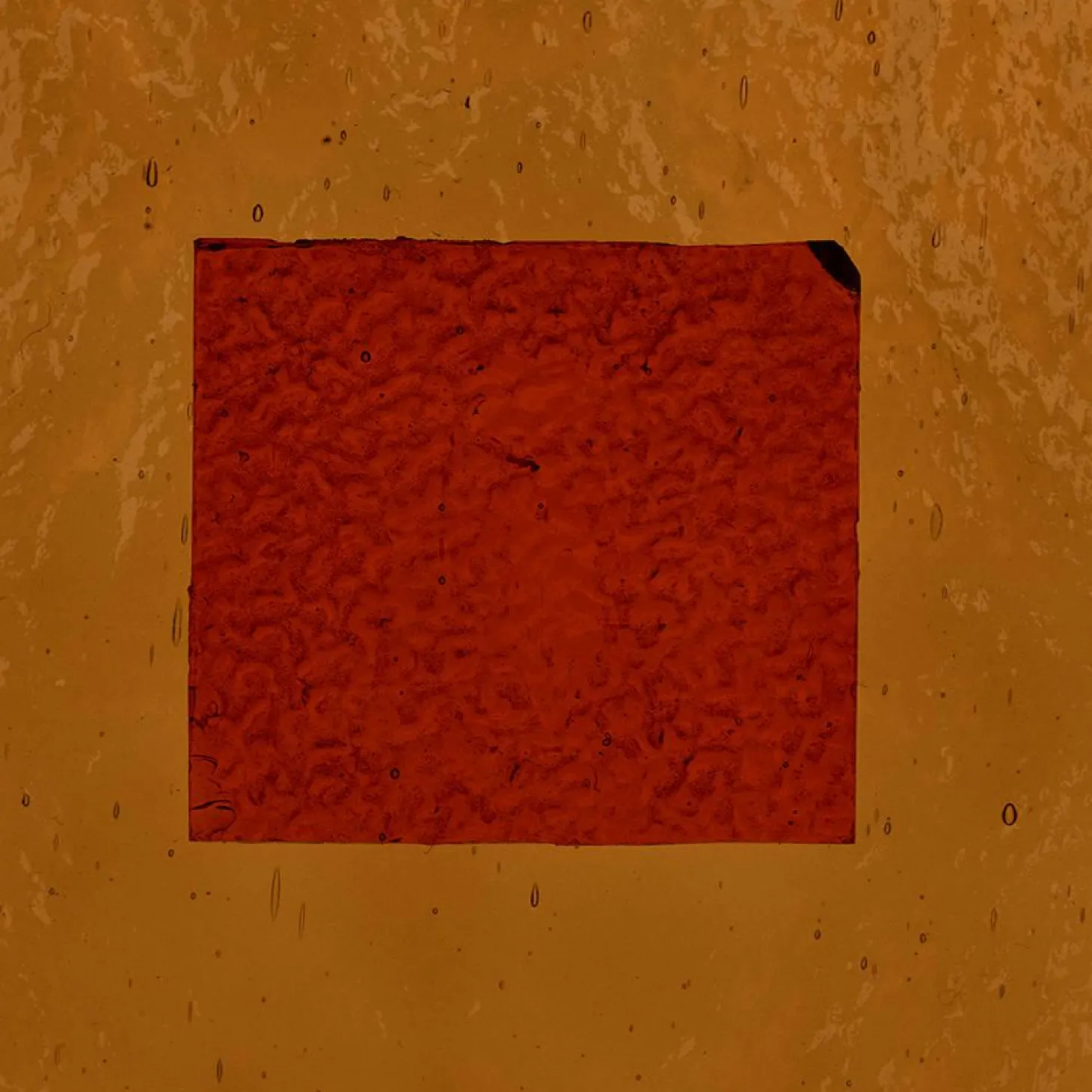 Art Print Geen Rood - zelf samenstellen - Loft24.nl