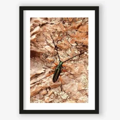 Art Print High on life insect - zelf samenstellen - Loft24.nl