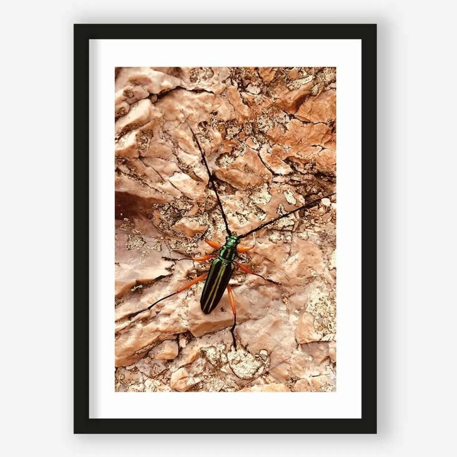 Art Print High on life insect - zelf samenstellen - Loft24.nl