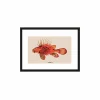 Art Print Le Diable - zelf samenstellen - Loft24.nl