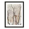 Art Print Soft coral - zelf samenstellen - Loft24.nl