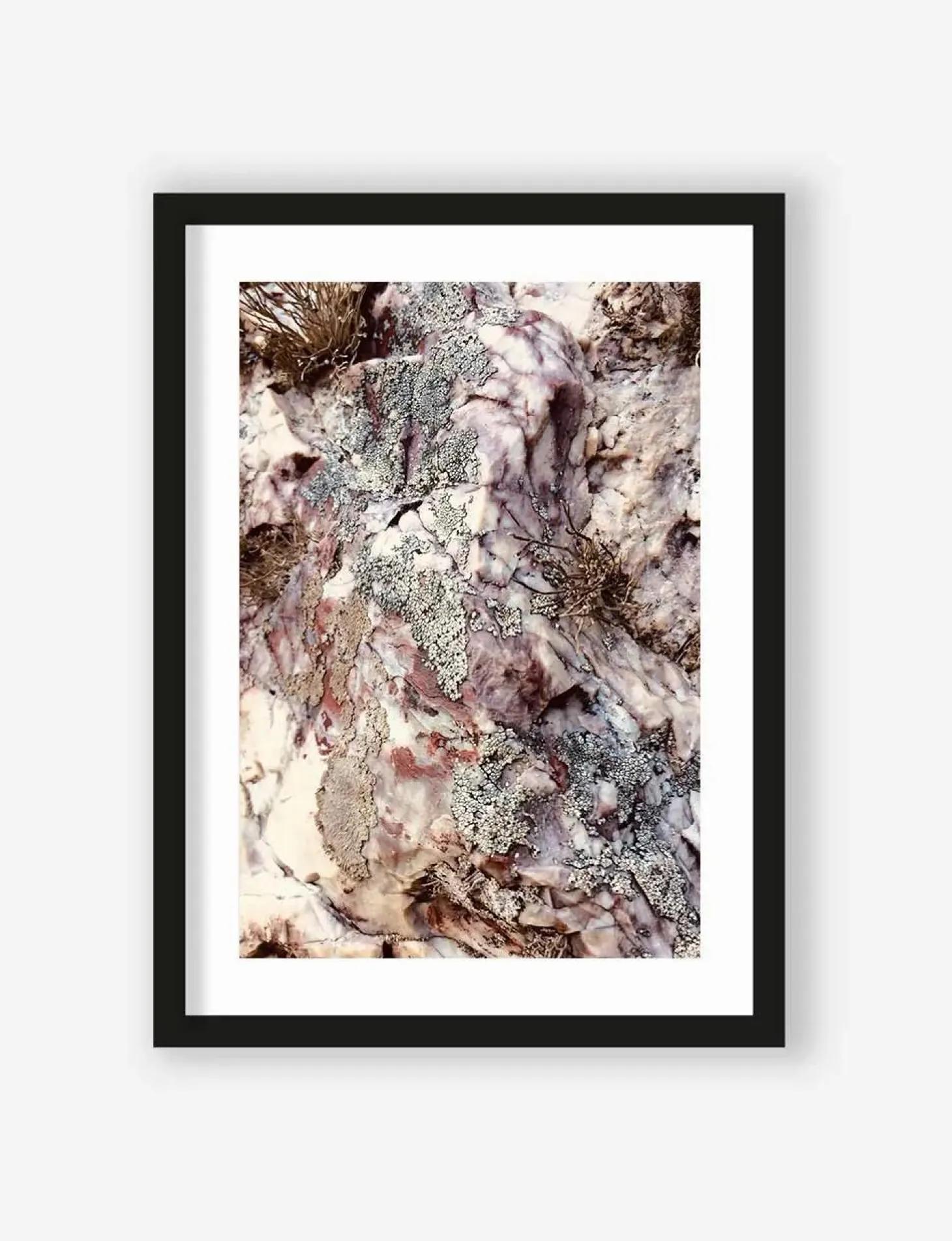 Art Print Stone plants - zelf samenstellen - Loft24.nl