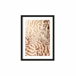 Art Print The brains of the sea - zelf samenstellen - Loft24.nl