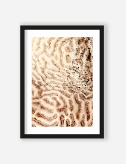 Art Print The brains of the sea  - zelf samenstellen - Loft24.nl