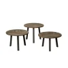 Bijzettafel Lazio Teakhout set van 3 stuks - grey - Loft24.nl