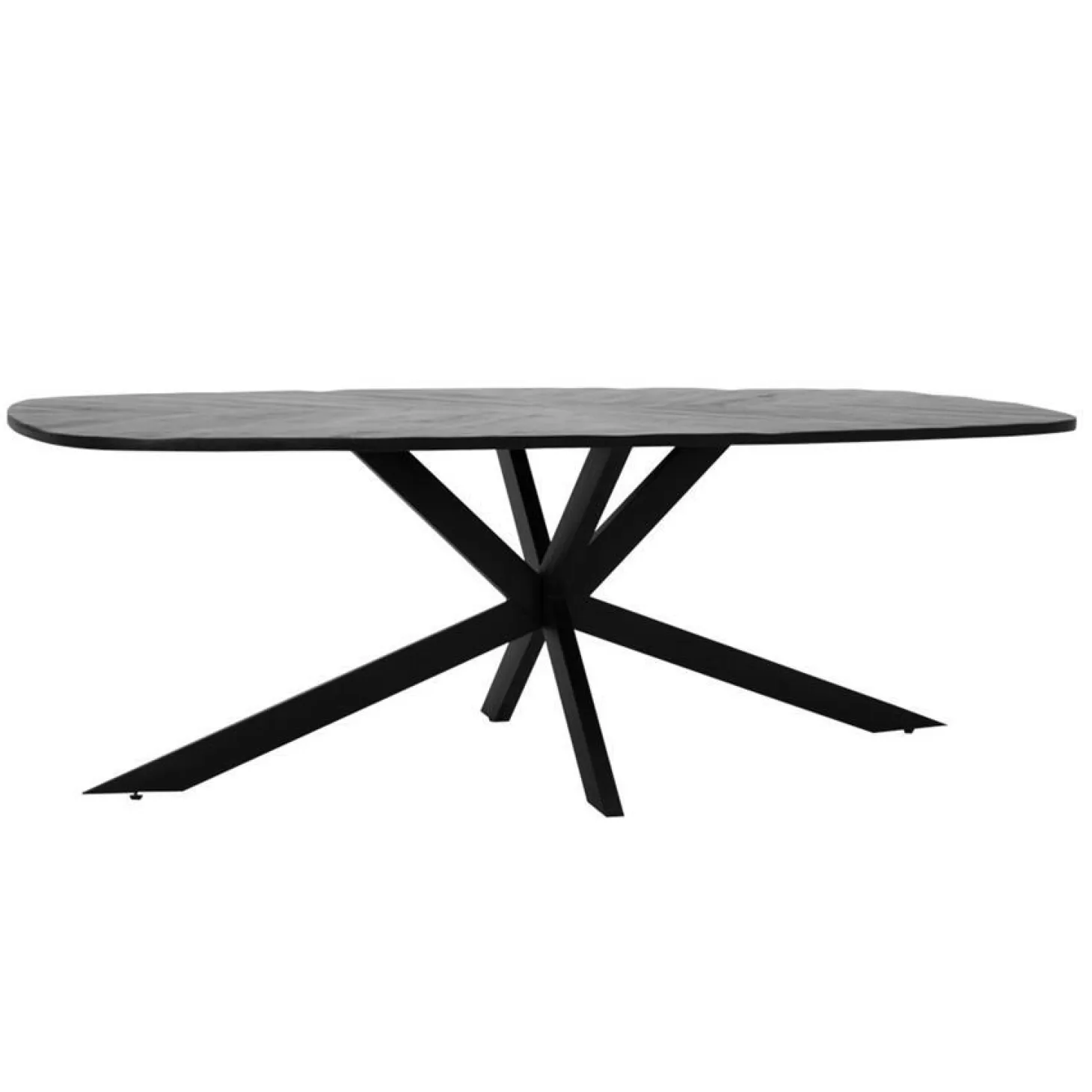 Eettafel Silvi Deens ovaal Mangohout Zwart - 240cm - Loft24.nl