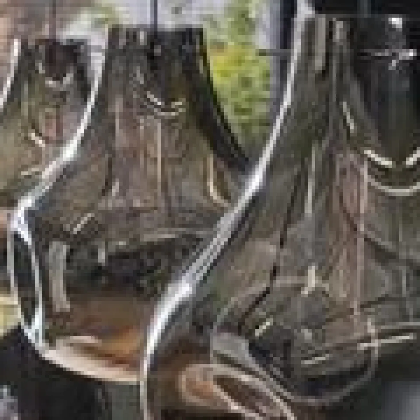 Hanglamp Dent Glas - Loft24.nl