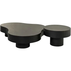 Organische Salontafel Bogor Set van 2 stuks - Zwart - Loft24.nl