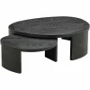 Organische Salontafel Navarino Set van 2 stuks - Zwart - Loft24.nl
