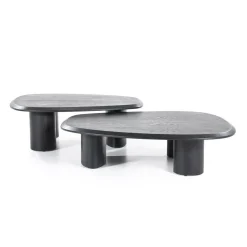 Organische Salontafel Walter Eikenhout Zwart - 96 x 78 cm - Loft24.nl