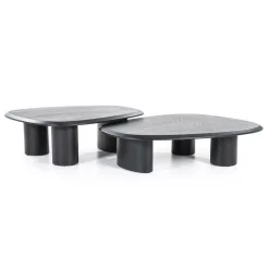 Organische Salontafel Walter Eikenhout Zwart - 96 x 78 cm - Loft24.nl