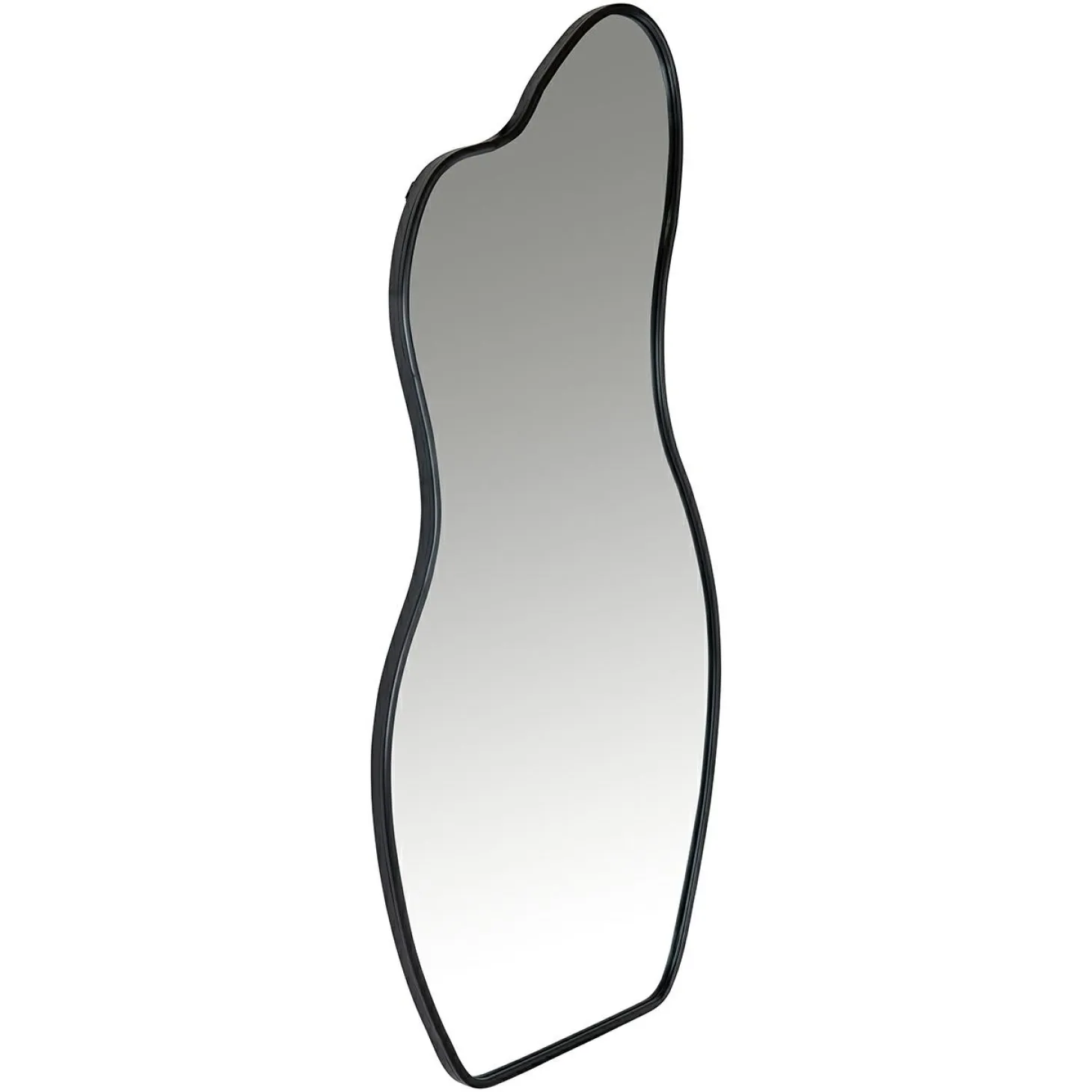 Organische Spiegel Aldon 181 x 91cm kleur Zwart - Loft24.nl