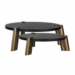 Ronde Salontafel Brody Set van 2 stuks - Zwart - Loft24.nl