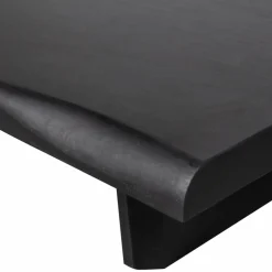Salontafel Cali Mangohout 120 x 28cm zwart - Loft24.nl