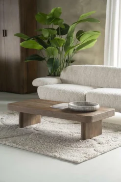 Salontafel Edward Mangohout 130 x 60 cm - Loft24.nl