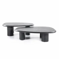Salontafelset Walter Eikenhout Zwart - Set van 2 stuks - Loft24.nl