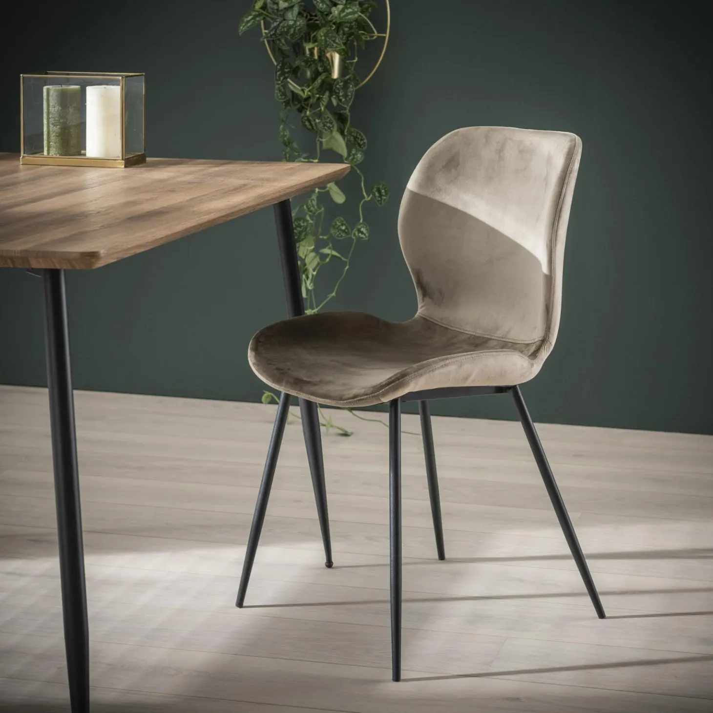 Stoel Shell Velvet ronde buis - Champagne - Loft24.nl