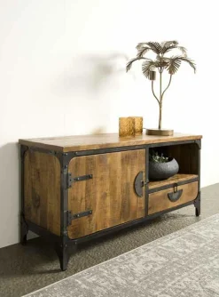 TV-meubel Basto 120cm Mangohout - Loft24.nl