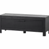 TV-meubel Bonk Grenen 120cm - Zwart - Loft24.nl