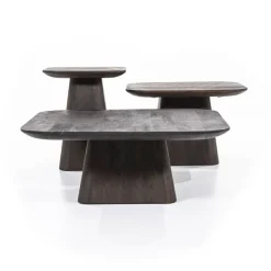 Vierkante Bijzettafel Aron Mangohout - Bruin 40 cm - Loft24.nl