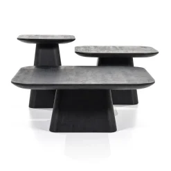 Vierkante Bijzettafel Aron Mangohout - Zwart 60 cm - Loft24.nl