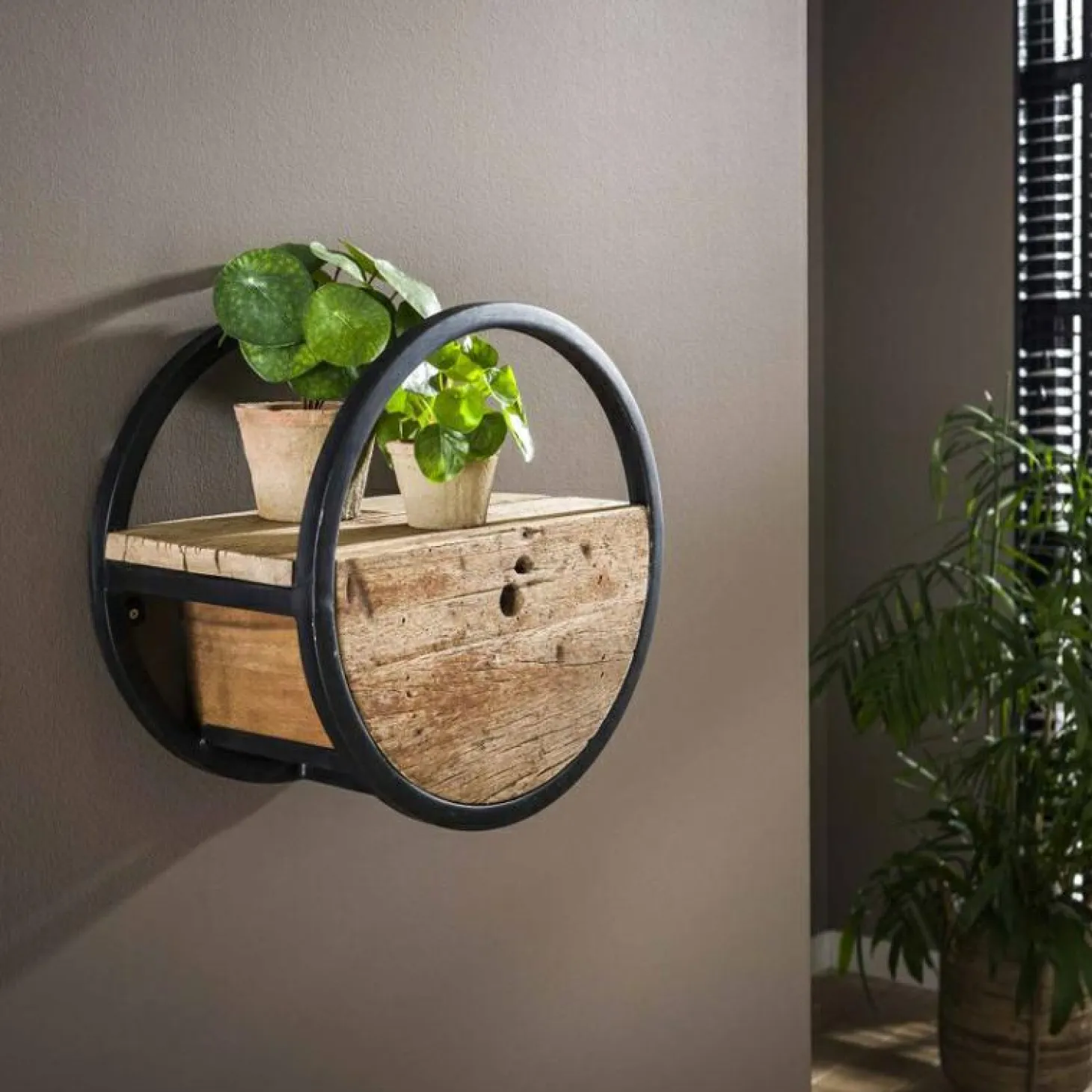 Wandplank Circular Hardhout - Ø40 - Loft24.nl